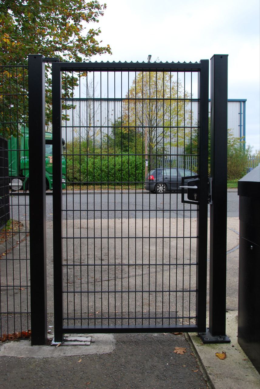 photo_2025-02-12_10-01-54