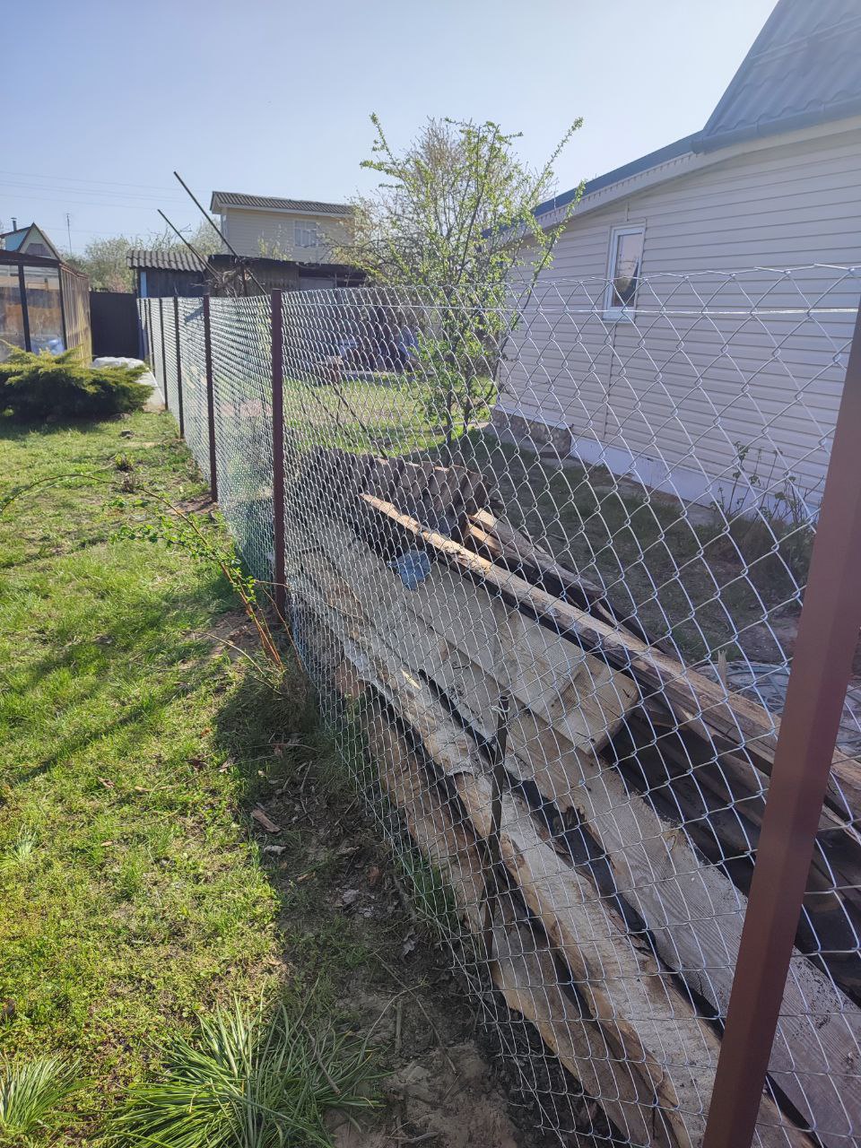 photo_2025-07-24_12-43-27